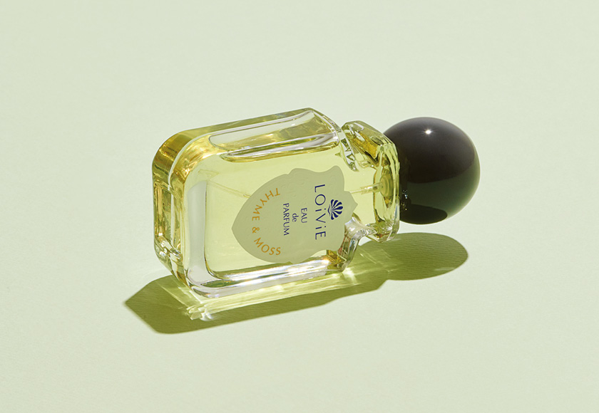 새로운 시즌을 맞이하기 위한 9월의 신상 뷰티