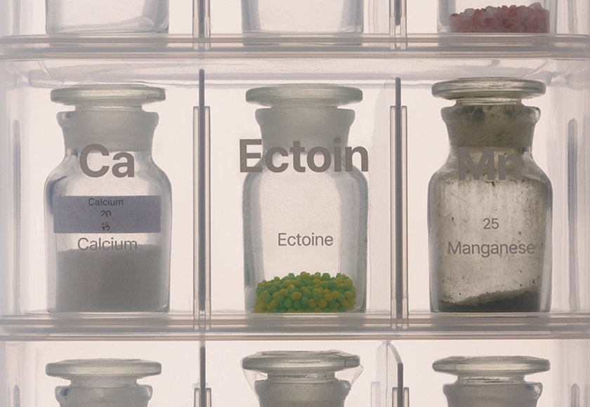 진정, 탄력, 보습, 항산화까지 다 갖춘 멀티 성분 #엑토인