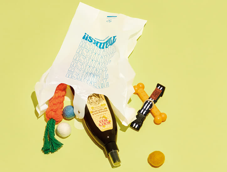 반려동물을 위한 뷰티템 6