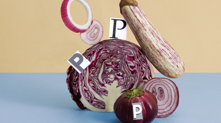 지금은 비타민P의 시대!