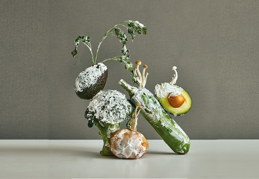 균, 피부에 양보하세요