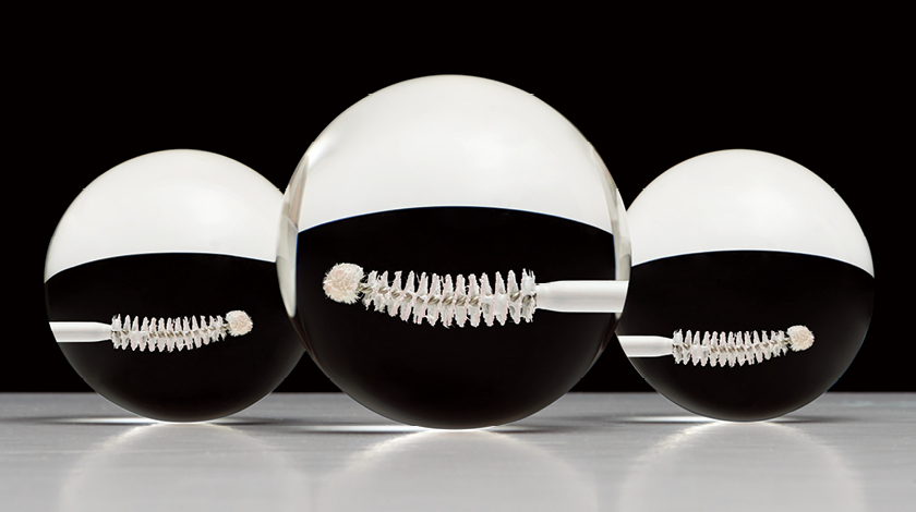 SNS 속 화제의 속눈썹 영양제 바로 알기