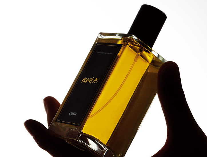 겨울에 남자들이 뿌려야 할 바로 그 향